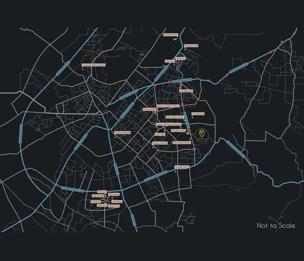 tulip monsella latest news